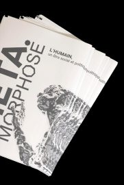 Métamorphose - Exemplaires